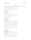 STABILIZED INSULIN-LIKE GROWTH FACTOR POLYPEPTIDES diagram and image