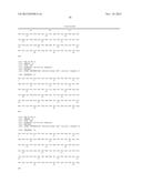 STABILIZED INSULIN-LIKE GROWTH FACTOR POLYPEPTIDES diagram and image