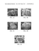 PROCESS FOR MANUFACTUING FILLED POLYMERIC MATERIALS WITH MODIFIED FILLER     PARTICLES diagram and image