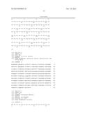 HOST CELL CAPABLE OF PRODUCING ENZYMES USEFUL FOR DEGRADATION OF     LIGNOCELLULOSIC MATERIAL diagram and image