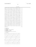 HOST CELL CAPABLE OF PRODUCING ENZYMES USEFUL FOR DEGRADATION OF     LIGNOCELLULOSIC MATERIAL diagram and image