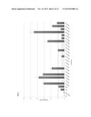 SYNTHETIC PROMOTER CONSTRUCT FOR TRANSGENE EXPRESSION diagram and image