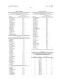 SYNTHETIC PROMOTER CONSTRUCT FOR TRANSGENE EXPRESSION diagram and image