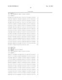 SYNTHETIC PROMOTER CONSTRUCT FOR TRANSGENE EXPRESSION diagram and image