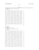 SYNTHETIC PROMOTER CONSTRUCT FOR TRANSGENE EXPRESSION diagram and image