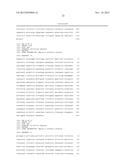 SYNTHETIC PROMOTER CONSTRUCT FOR TRANSGENE EXPRESSION diagram and image