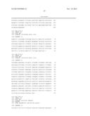 SYNTHETIC PROMOTER CONSTRUCT FOR TRANSGENE EXPRESSION diagram and image