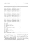 SYNTHETIC PROMOTER CONSTRUCT FOR TRANSGENE EXPRESSION diagram and image