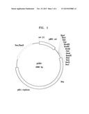 MICROORGANISM HAVING ENHANCED PRODUCTIVITY OF SUCCINATE AND METHOD OF     PRODUCING SUCCINATE USING THE SAME diagram and image