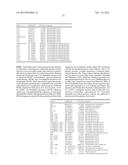 MICROORGANISMS AND METHODS FOR ENHANCING THE AVAILABILITY OF REDUCING     EQUIVALENTS IN THE PRESENCE OF METHANOL, AND FOR PRODUCING ADIPATE,     6-AMINOCAPROATE, HEXAMETHYLENEDIAMINE OR CAPROLACTAM RELATED THERETO diagram and image