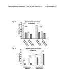 Methods of Determining Cell Mediated Response diagram and image