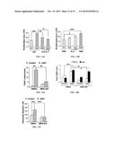 JAGGED1 AS A MARKER AND THERAPEUTIC TARGET FOR BREAST CANCER BONE     METASTASIS diagram and image