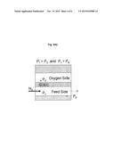 PROCESS FOR MONITORING, PROTECTION AND SAFETY SHUT-DOWN OF AN ELECTROLYSER     SYSTEM diagram and image