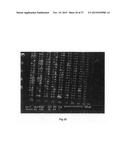 PROCESS FOR THE ELECTROCHEMICAL DEPOSITION OF A SEMICONDUCTOR MATERIAL diagram and image