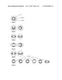 DISTRIBUTED OPTICAL CHEMICAL SENSOR diagram and image