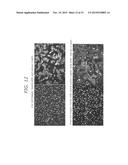 Analysis of Action Potentials, Transients, and Ion Flux in Excitable Cells diagram and image