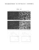 Analysis of Action Potentials, Transients, and Ion Flux in Excitable Cells diagram and image