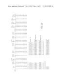 Analysis of Action Potentials, Transients, and Ion Flux in Excitable Cells diagram and image