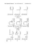 WIND MEASUREMENT COHERENT LIDAR diagram and image