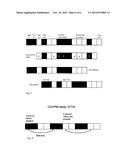 Methods and Devices for MIMO Transmission diagram and image