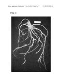 COMPOSITIONS AND METHODS FOR CONTROLLING NEMATODES diagram and image