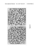 CONTINUOUS COATING METHOD diagram and image