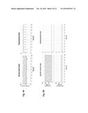 TWO STAGE CELLULARIZATION STRATEGY FOR THE FABRICATION OF BIOARTIFICIAL     HEARTS diagram and image