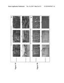 TWO STAGE CELLULARIZATION STRATEGY FOR THE FABRICATION OF BIOARTIFICIAL     HEARTS diagram and image