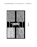 TWO STAGE CELLULARIZATION STRATEGY FOR THE FABRICATION OF BIOARTIFICIAL     HEARTS diagram and image