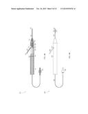 STEERABLE LASER PROBE diagram and image