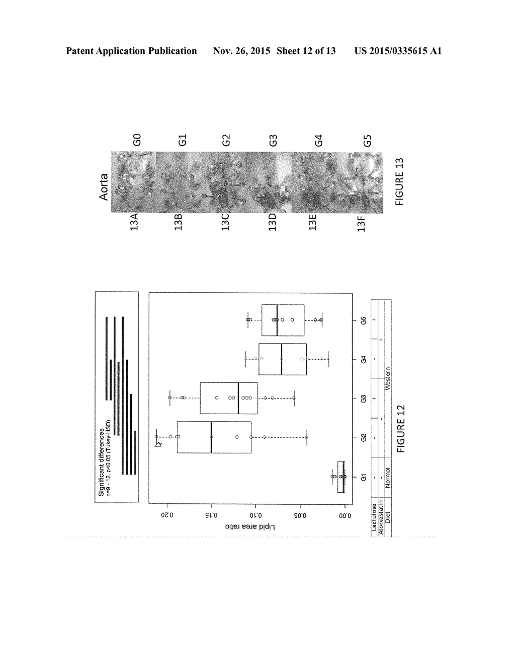 CHOLESTEROL-LOWERING COMPOUNDS IN COMBINATION WITH LIPID     METABOLISM-ALTERING COMPOUNDS OF NON-ABSORBABLE SUGARS, COMPOUNDS THAT     CONVERT NH3 TO NH4+, OR HYDROGEN-GENERATING COMPOUNDS FOR THE TREATMENT     OF HIGH CHOLESTEROL AND INFLAMMATION - diagram, schematic, and image 13