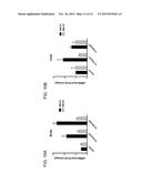 INHIBITION OF CHOROIDAL NEOVASCULARIZATION diagram and image