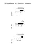 INHIBITION OF CHOROIDAL NEOVASCULARIZATION diagram and image