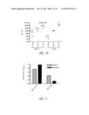 Vaccine Composition Containing Synthetic Adjuvant diagram and image