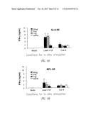 Vaccine Composition Containing Synthetic Adjuvant diagram and image