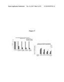 MAGNETIC NANOSTRUCTURES AS THERANOSTIC AGENTS diagram and image