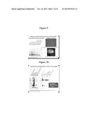 MAGNETIC NANOSTRUCTURES AS THERANOSTIC AGENTS diagram and image