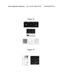 MAGNETIC NANOSTRUCTURES AS THERANOSTIC AGENTS diagram and image