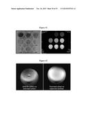 MAGNETIC NANOSTRUCTURES AS THERANOSTIC AGENTS diagram and image