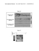 MAGNETIC NANOSTRUCTURES AS THERANOSTIC AGENTS diagram and image