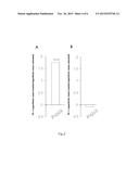 USE OF A PHOTOSENSITIVE AGENT CAPABLE OF PRODUCING REACTIVE OXYGEN SPECIES     IN THE PRODUCTION OF A DRUG FOR THE  PHOTODYNAMIC THERAPY OF A DISEASE     RELATED TO STEM CELLS, IN VITRO USE, AND PHARMACEUTICAL COMPOSITION diagram and image