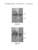 METHODS AND APPARATUS FOR LIPID MULTILAYER PATTERNING diagram and image