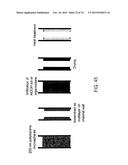 SUPPORT FOR USE IN MICROCHANNEL PROCESSING diagram and image