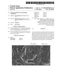 TRACTION SURFACE AND METHODS THEREFOR diagram and image