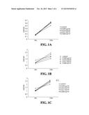 USE OF COMPOUNDS FROM ANTRODIA CAMPHORATA IN MANUFACTURING MEDICAMENTS FOR     TREATING KIDNEY DISEASES diagram and image