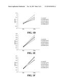 USE OF COMPOUNDS FROM ANTRODIA CAMPHORATA IN MANUFACTURING MEDICAMENTS FOR     TREATING KIDNEY DISEASES diagram and image