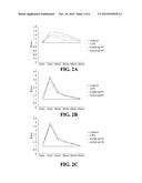 USE OF COMPOUNDS FROM ANTRODIA CAMPHORATA IN MANUFACTURING MEDICAMENTS FOR     TREATING KIDNEY DISEASES diagram and image