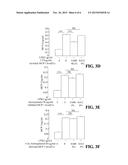 USE OF COMPOUNDS FROM ANTRODIA CAMPHORATA IN MANUFACTURING MEDICAMENTS FOR     TREATING KIDNEY DISEASES diagram and image