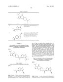 SUBSTITUTED ACETYL-COA CARBOXYLASE INHIBITORS diagram and image