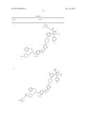 BCL-2/BCL-XL INHIBITORS AND THERAPEUTIC METHODS USING THE SAME diagram and image